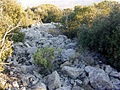 Habitat fortifié de sommet, de Lagne.