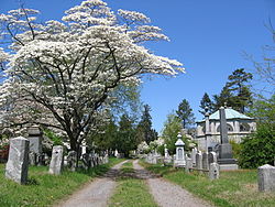 Sleep Hollow Cemetery