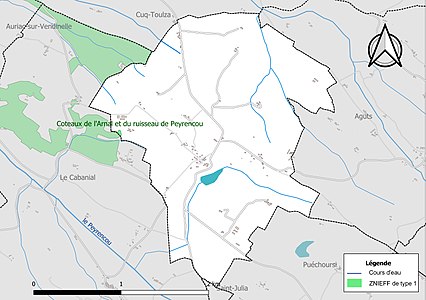 Carte de la ZNIEFF de type 1 sur la commune.