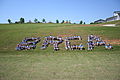 Parents and kids huddle together after Field Day to form the letters: BRCA