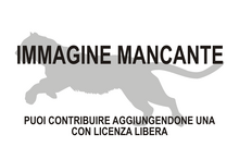 Immagine di Machairodus mancante