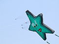 Lachender Drachen in Sternform bei Hockenheim; Kite