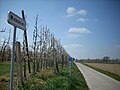 De Romeinseweg in Halle-Booienhoven