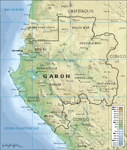 Carte topographique du Gabon. (image vectorielle)