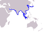 Indo-pacific finless porpoise range