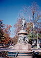 Luis Cruz Martínez, hero from Curicó.