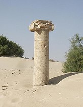 Uħud mill-fdalijiet ta' Leptis Magna li għadhom iridu jiġu skavati.