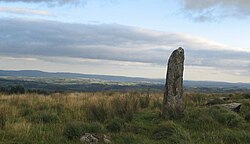 Unidentified standing stone located between Millstreet and Ballinagree.