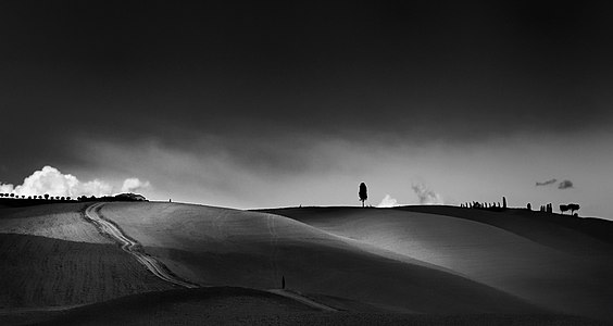 Il solitario San Quirico d'Orcia (SI) Scatto di: Claudiominghi