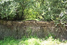 photo d'un mur en grosses pierres de taille entouré de végétation.