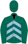 Dark green, light blue chevrons on body