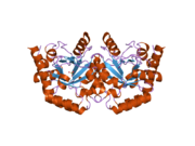 2eaw: Human UMP Synthase (C-terminal Domain- Orotidine 5'-Monophosphate Decarboxylase)