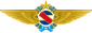 Fuerza Aérea