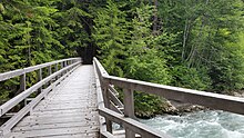 A view from a wooden bridge over a small river in a forested enviroment