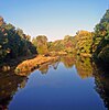 Water under a blue sky in late afternoon light, with the sky and trees behind it reflected in its still surface