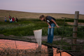 Catching frogs and salamanders in Nebraska (3)