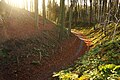 Streek-GR Vlaamse Ardennen in het Muziekbos