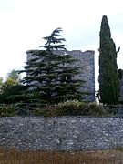 vue d'une tour carrée sans toiture à demi cachée par des arbres.