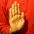 B, A palm shape in which all fingers are fully extended and folded together.