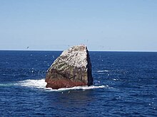 Photographie de Rockall prise à quelques dizaines de mètres de distance.