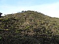 Tambuyukoni mägi (2579 m)