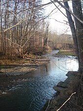 La Galaure à Hauterives