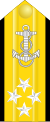 上将