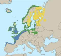 Mapa występowania