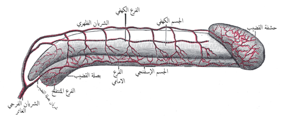 Asmmili n uglay