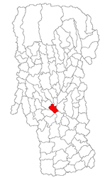 Location in Argeș County