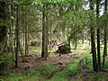 Miniatura para Parque nacional Belovézhskaya Pushcha