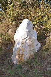 Menhir de la Piraudière