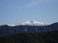 El Canigó és l'element geogràfic referent al Conflent