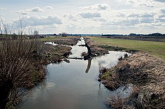 Verlauf der Horloff zwischen Bingenheim und Reichelsheim nach der Renaturierung