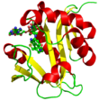 Thumbnail for Aralkylamine N-acetyltransferase