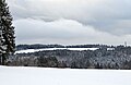 Die Gipfelkuppe des Wandbühl im Winter