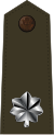 Lieutenant colonel