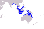 Irrawaddy dolphin range