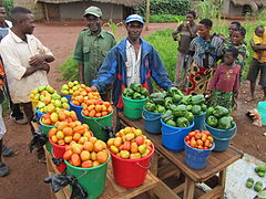 Tomates et poivrons