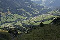 Pâturages à Hauteluce dans le Beaufortain.