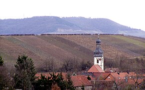 Blick über das Tal des Sickersbachs in Sickershausen ostwärts