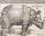 The Rhinoceros karya Albrecht Dürer tahun 1515