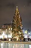 2008 Trafalgar Square Christmas tree.