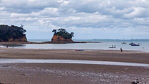 Waiake Beach and The Tor