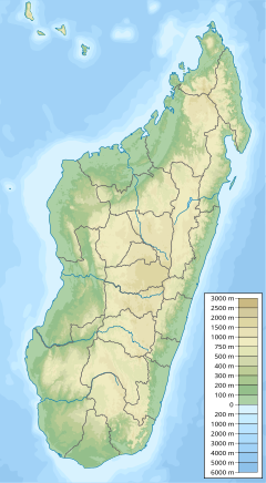 Deževni gozdovi Atsinanane se nahaja v Madagaskar