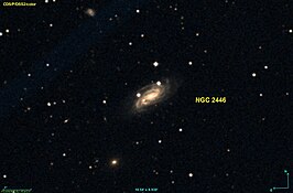 NGC 2446