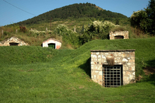 Colour photo. Strongly embedded in the folds of a grassy valley, four small buildings in irregular stone masonry, with flat or sloped roofs, with barred doors, the entrance of the cellars are sunk into the ground. In the background the bushy land rises gently to the wooded hill which stands against a uniformly blue sky.