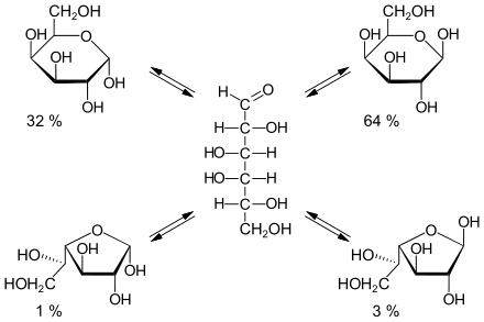 Gleichgewichtszusammensetzung von Galactose in wässriger Lösung bei 20 °C