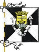 Bandeira de {{{município}}}