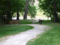 East Blanchard Park in Armstrong's Point